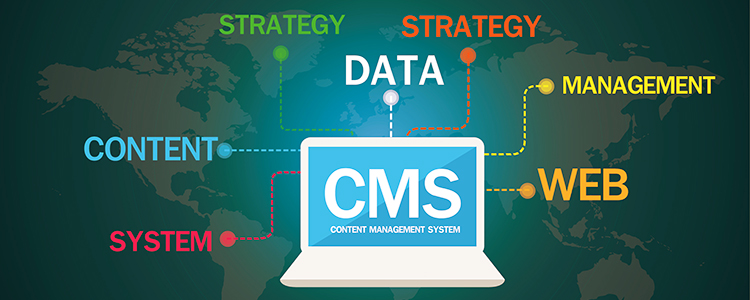 Content Management System in Mumbai